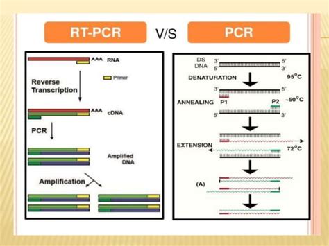 Understanding RT.
